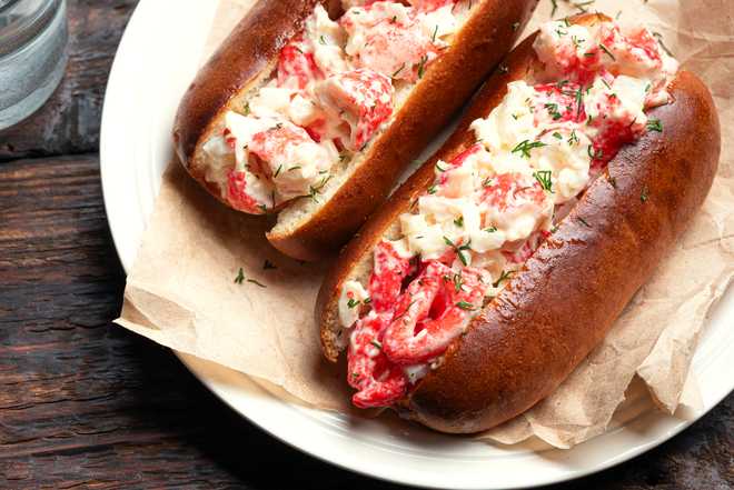 Lobster Roll. Traditional classic American Sandwich. New England meal. Fresh Maine Lobster with mayo and celery in toasted roll, close up, detailed.
