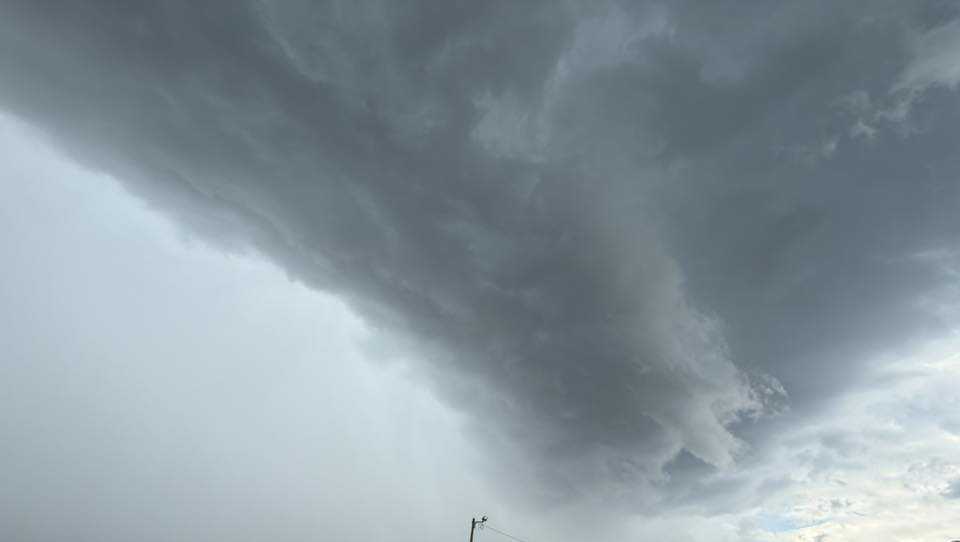 Reports of storm damage from hail and downed trees in parts of the Upstate