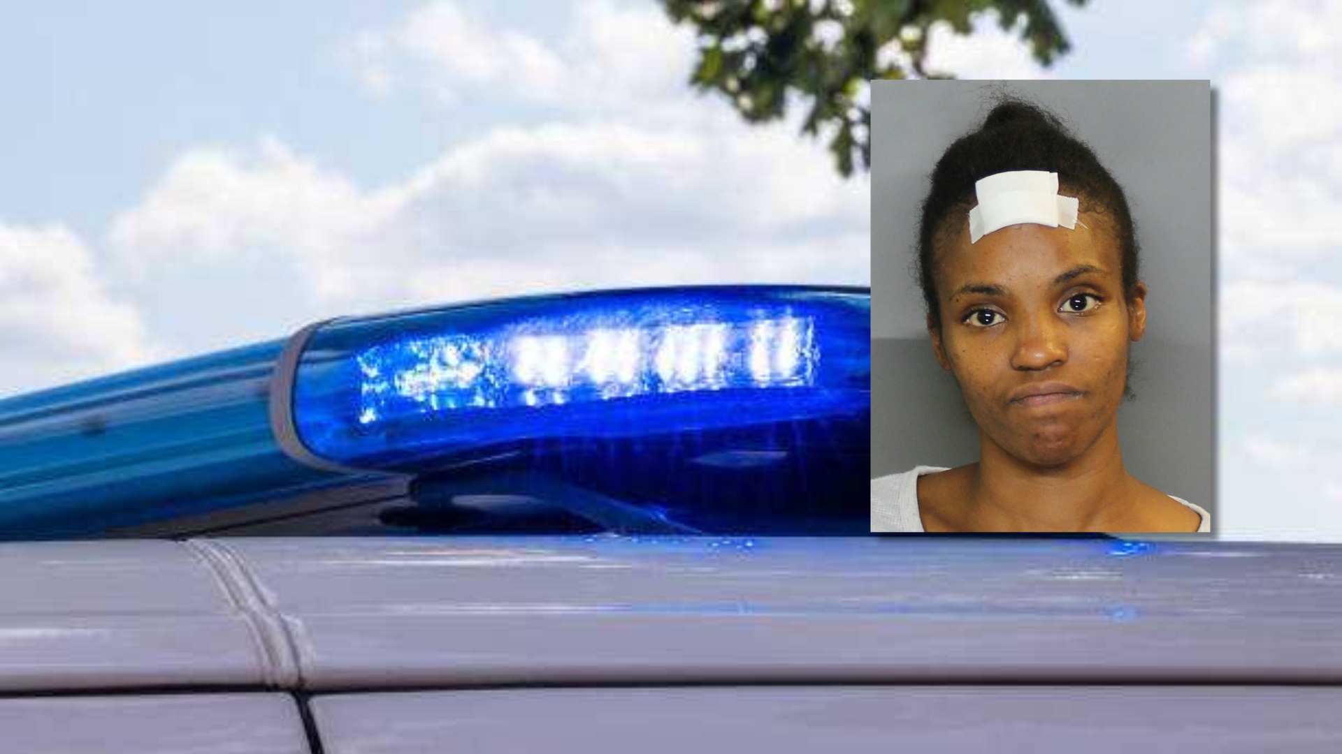 Charlotte County woman accused of fleeing traffic stop at 110 mph ...