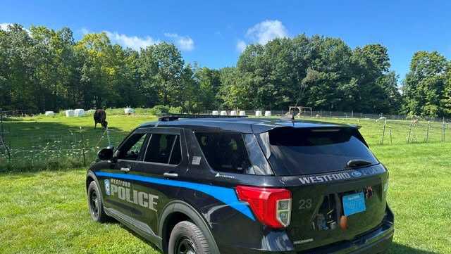 Man, 21, dies after falling into Mass. quarry