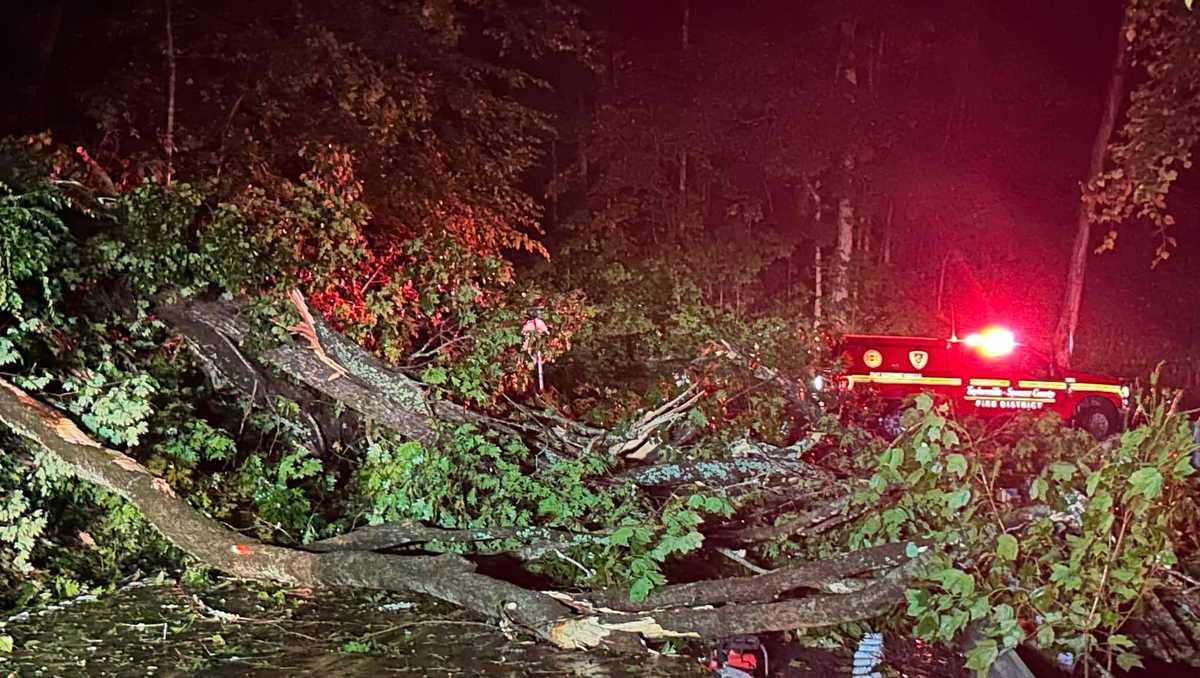 Early Saturday storms cause flooding, downed trees