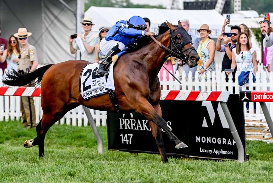 147th Preakness winner: Early Voting wins the race - WBAL