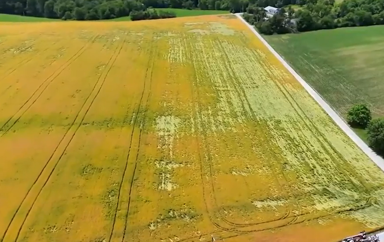 EF-1 tornado touched down in Lancaster County | Resident reflects on ...