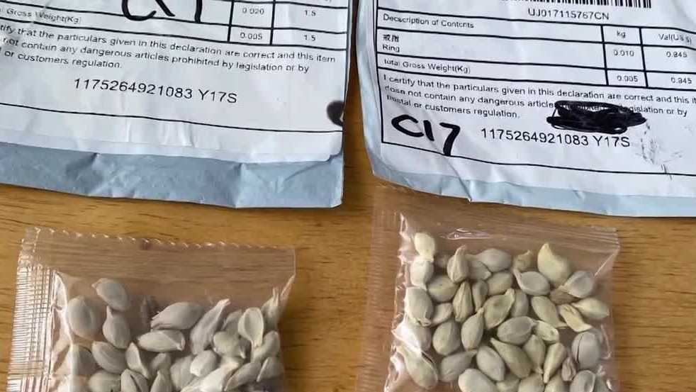 Pa. Department of Agriculture warning residents about mysterious seed packages arriving in mail