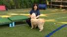Living circumstances and finances can often lead to owner surrenders of animals. But behavior issues are also a big reason for pet surrenders. Animal behaviorists can help keep pets out of shelters