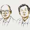 Nobel Prize in chemistry awarded to scientists who unraveled mystery of mirror molecules