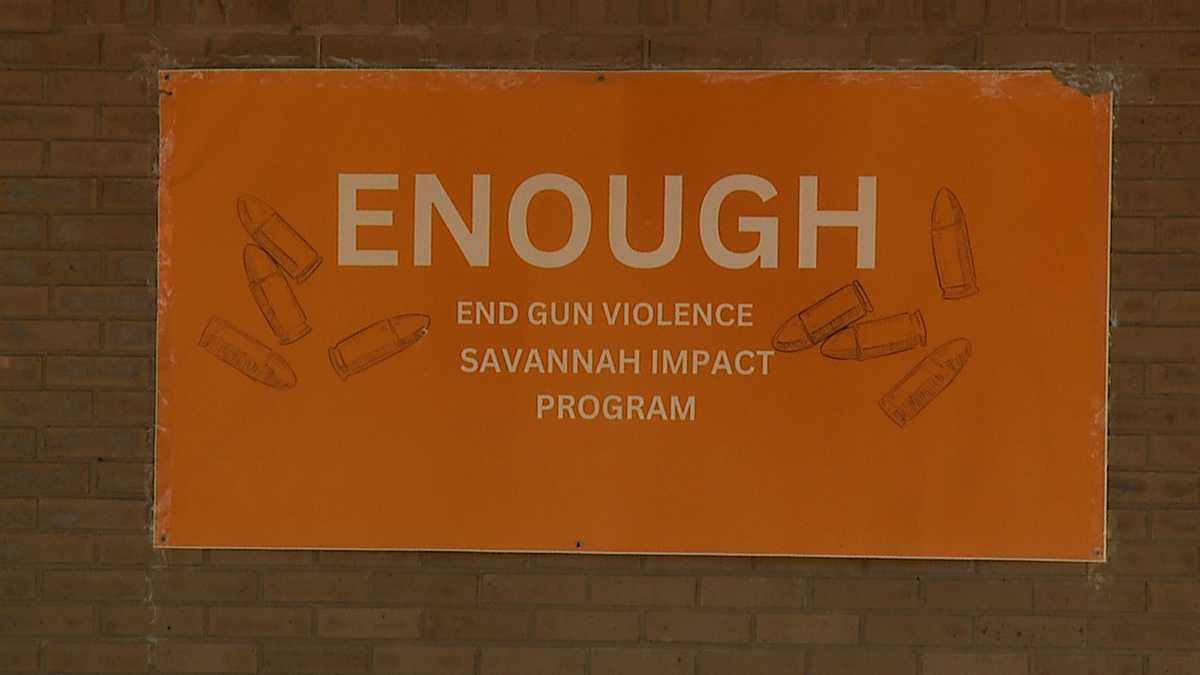 'We want that to stop': End the Gun Violence rally