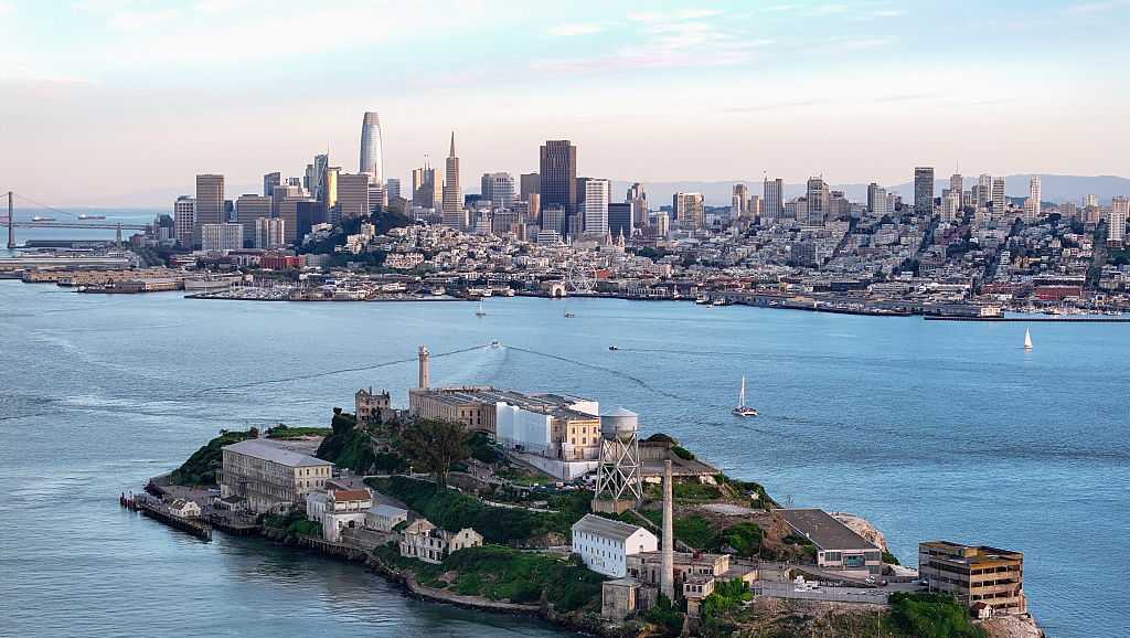 Coyote that swam to Alcatraz was thought to be from San Francisco. Science reveals its real origin