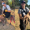 Deer freed from fence with the help from Choctaw firefighters