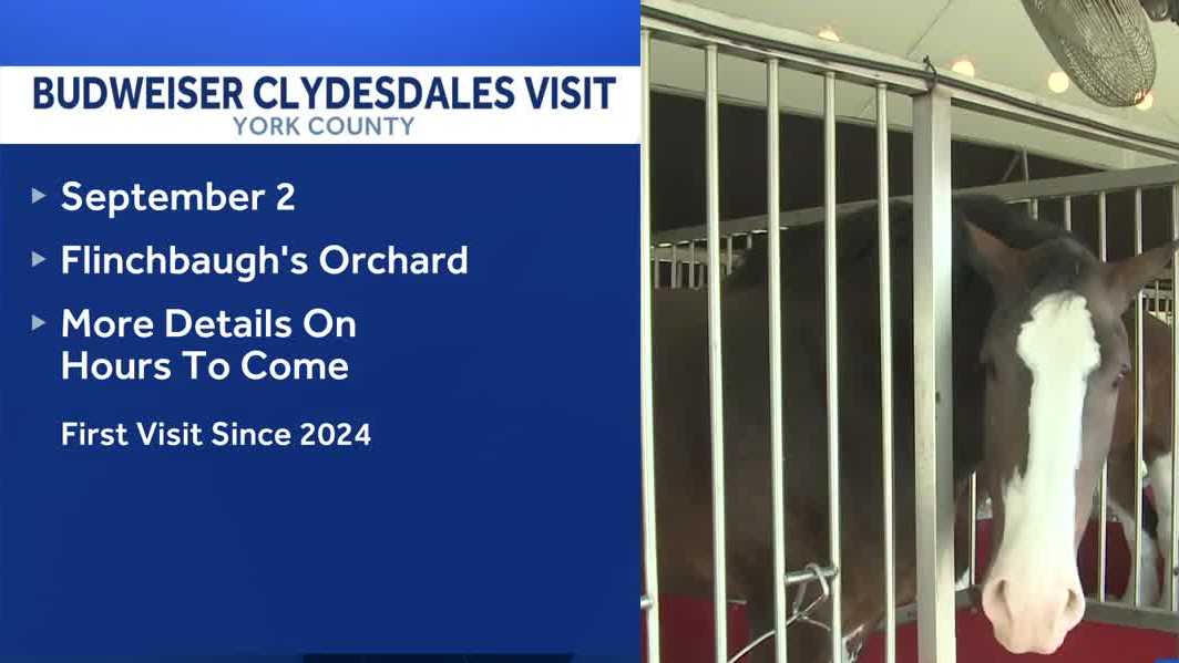 Budweiser Clydesdales returning to York County this September