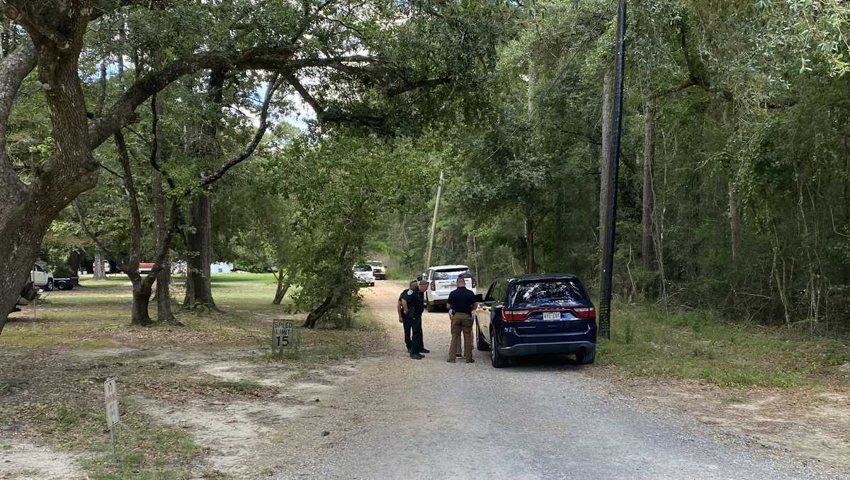 Two Border Patrol detainees escape federal transport near Robert and Ponchatoula. What we know