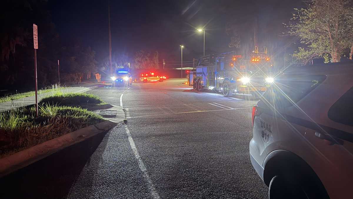 Missing father and two children found safe after Ogeechee River kayaker search in Bryan County