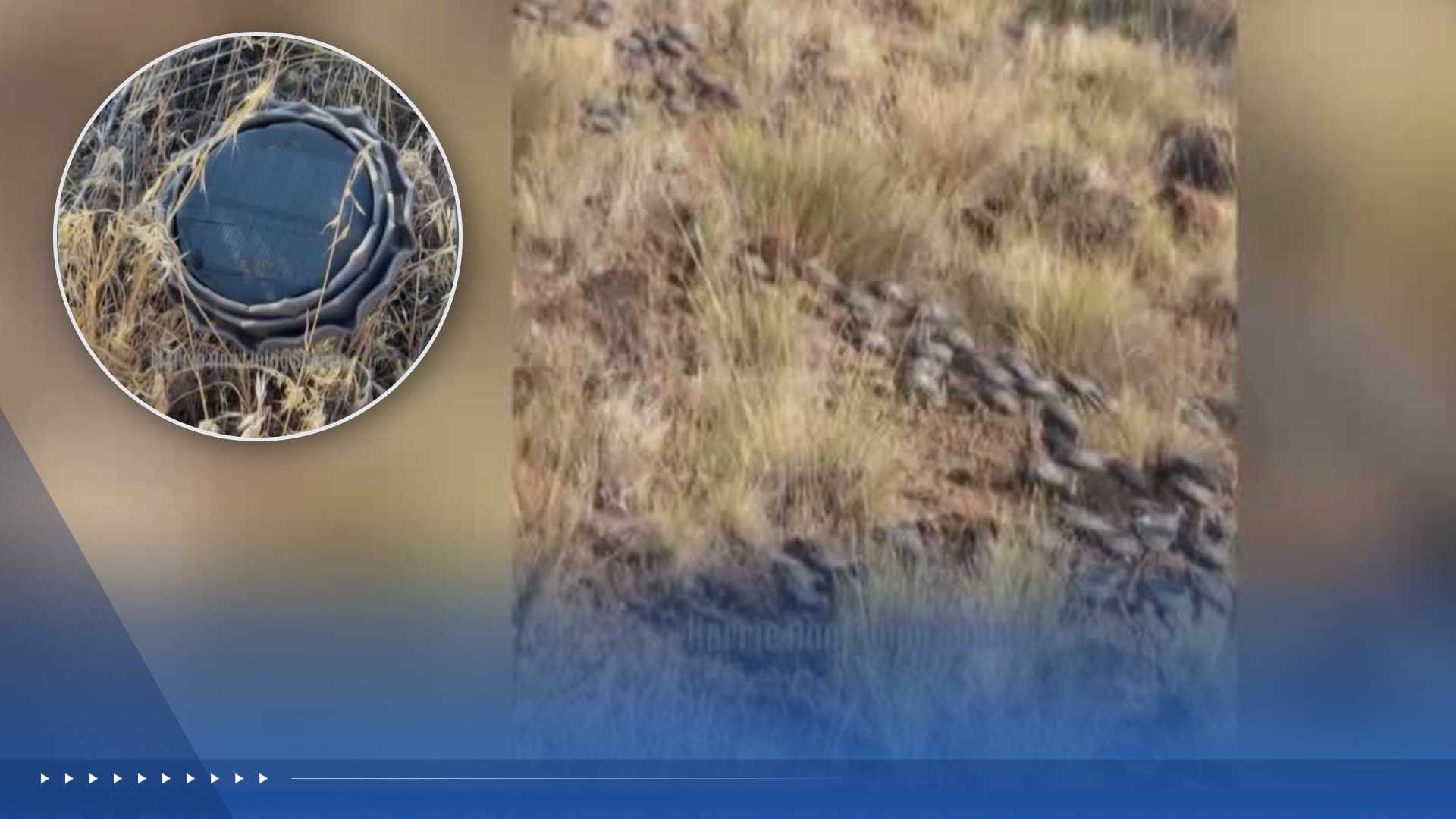 Hillside mystery: What's behind the 200 solar-powered speakers near Mt. Shasta?