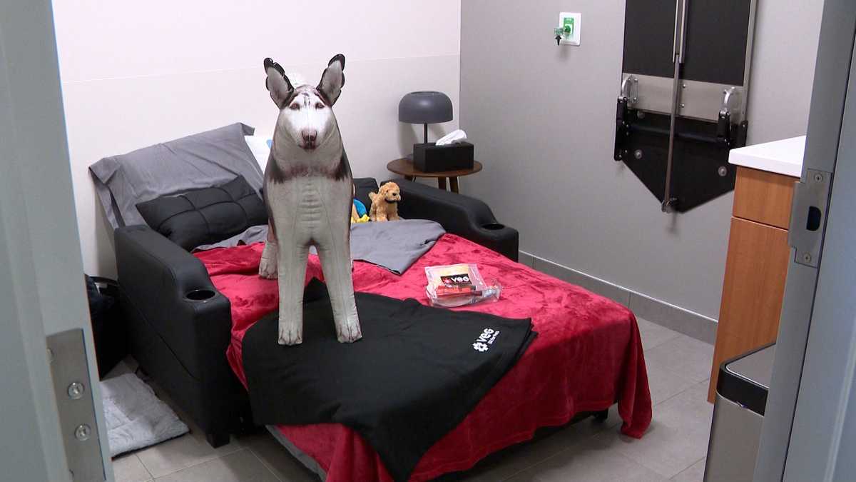 New St. Matthews animal hospital lets people stay with their pets overnight
