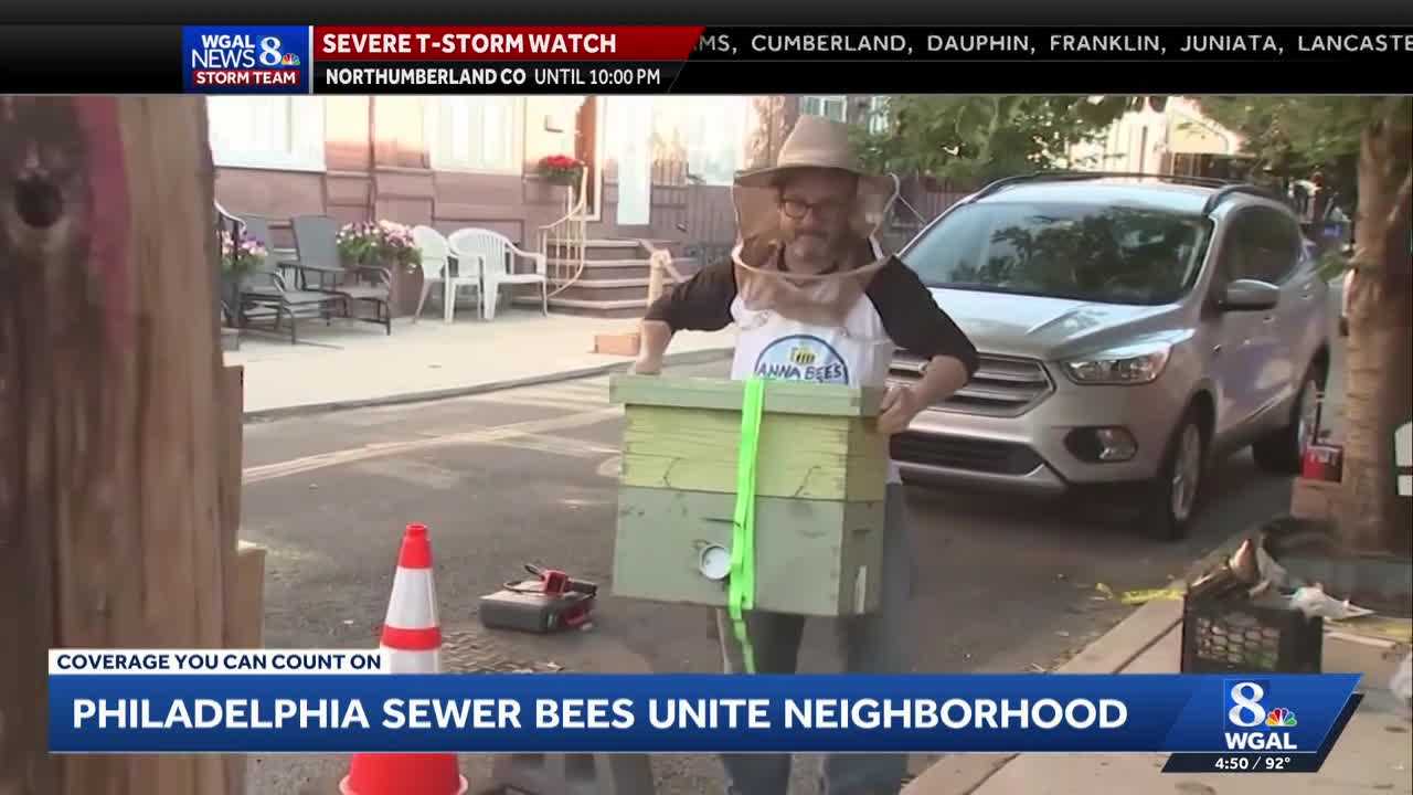 'Sewer honey' | Neighborhood comes together over bees living in a sewer