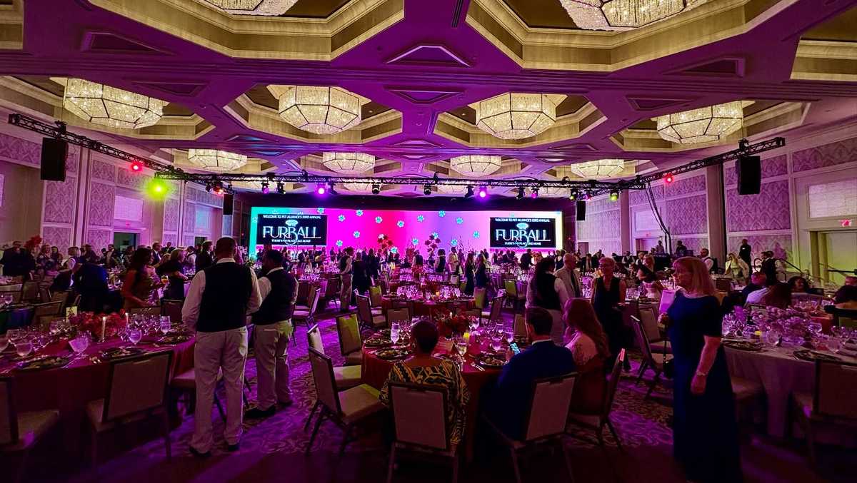Pet Alliance announces Furball Gala in Orlando to support local pets