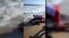 Fisherman reels in white shark off Massachusetts
