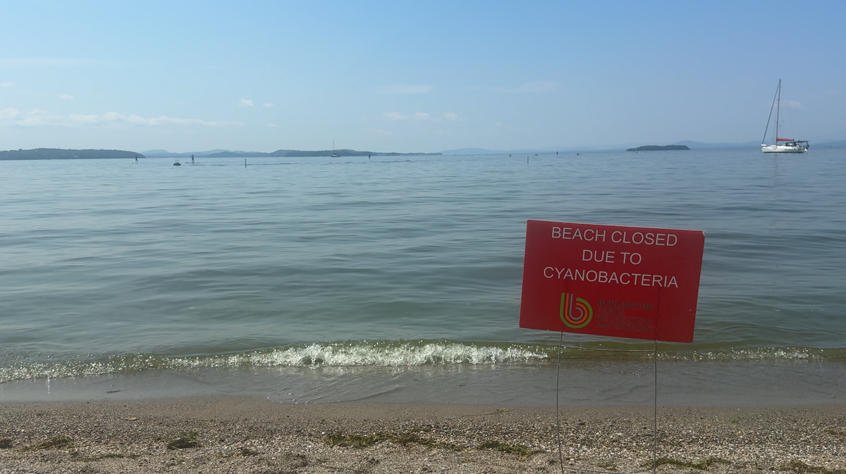 Cyanobacteria forces closures at several Burlington beaches ahead of July 4th weekend