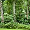 U.S. Forest Service shuts down 23 facilities, including one in the Susquehanna Valley