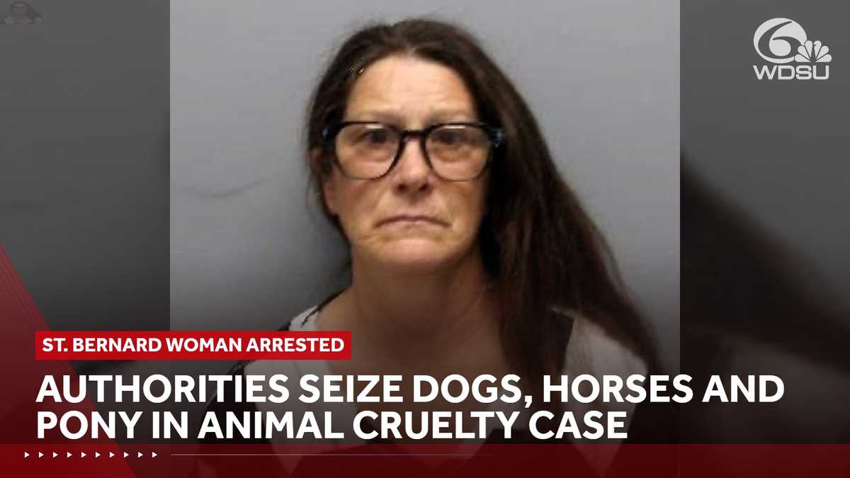 Authorities seize dogs, horses and pony in St. Bernard animal cruelty case