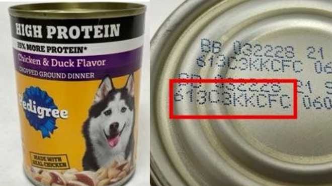 Pedigree dog food recall