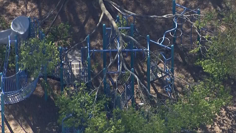 2 children,1 adult injured after tree topples onto Mass. school playground