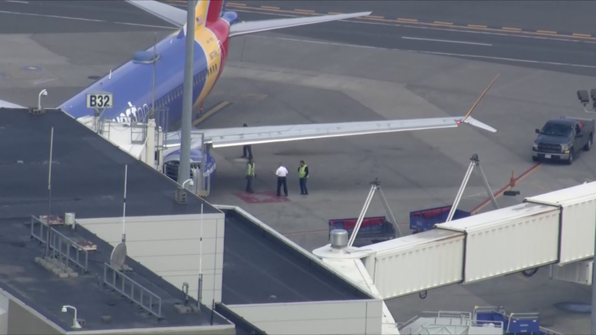 Plane forced to return to Logan after striking bird during takeoff