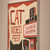 Cat Video Fest enters final weekend at Speed Art Museum
