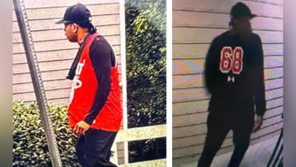 Police in Georgia seek suspect in child molestation cases