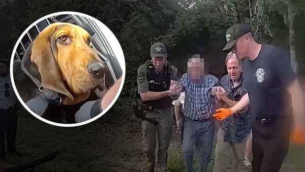 video shows k-9 boomer track down ‘missing and endangered’ 96-year-old man