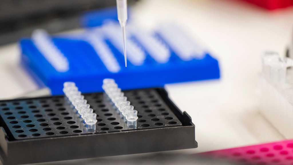 US bans imports from 3 Chinese biotech companies over forced labor allegations