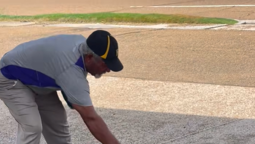 Viral video shows snake at Handy Mart lot