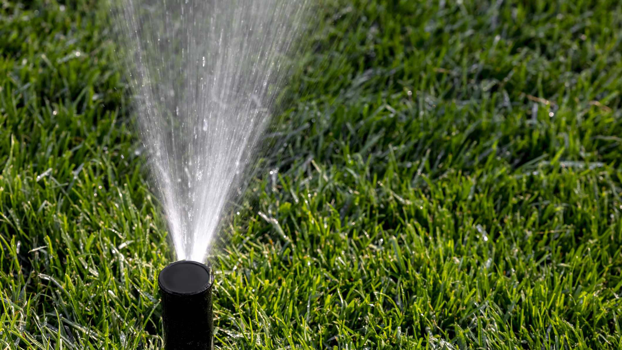 Cape Coral eases up on lawn watering restrictions, allowing residents to water once a week