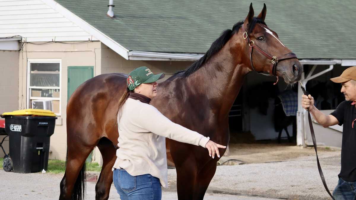 Cherie DeVaux has chance to become first female trainer to win Kentucky Derby