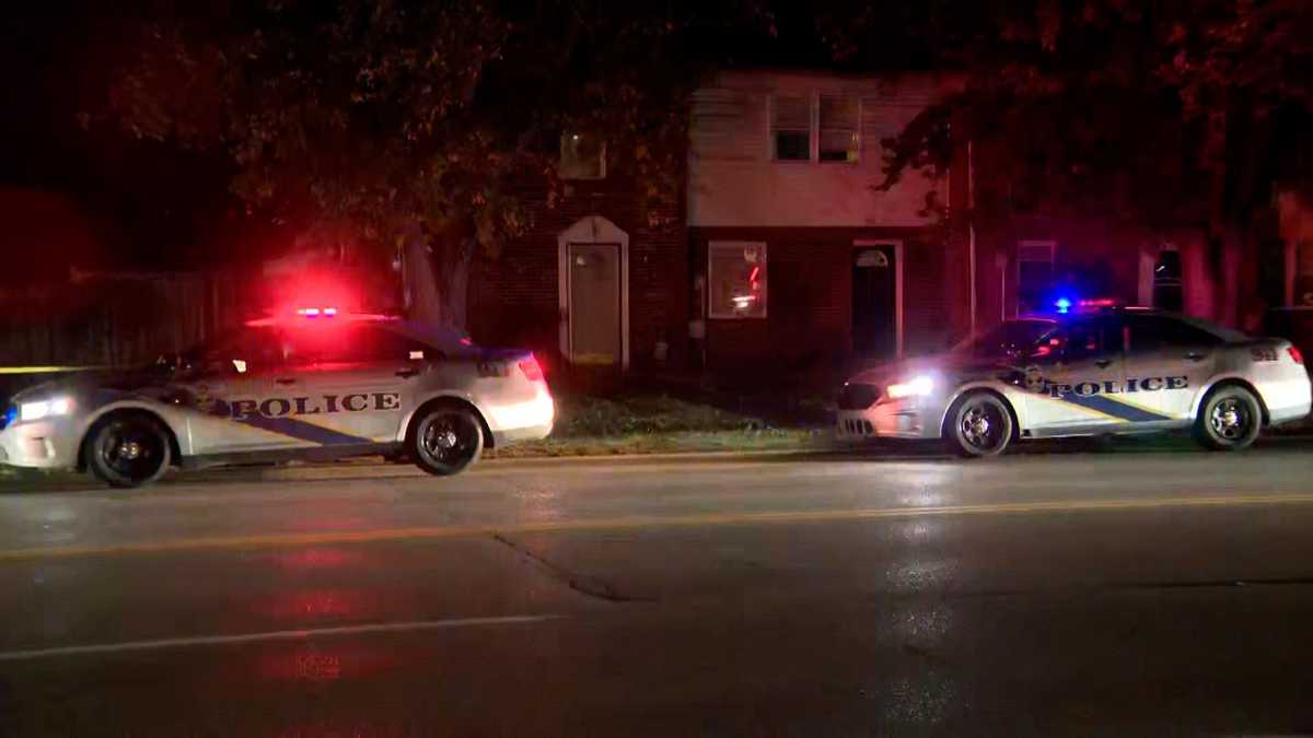 Assault News Image