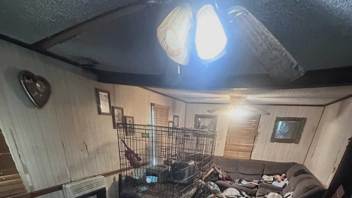 Mississippi animal shelter asks for help after rescuing dozens of cats, dogs from home