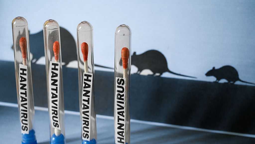 Hantavirus outbreak linked to cruise ship raises questions about strain in New Mexico