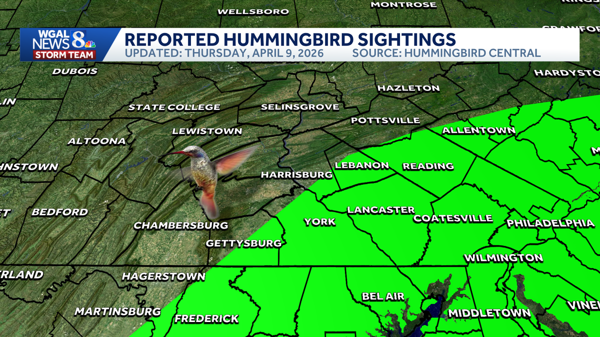 Hummingbirds are returning to south-central Pennsylvania