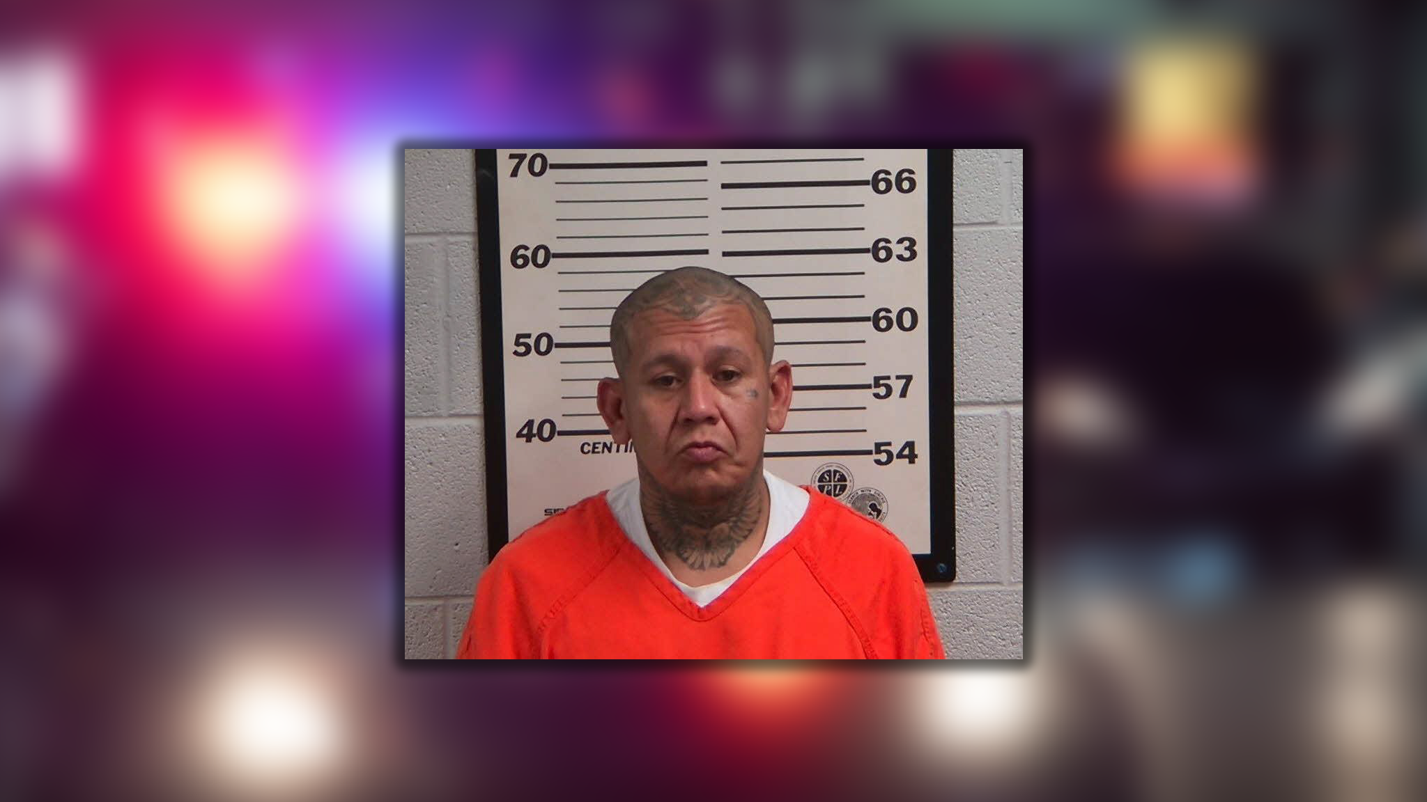 wyff4.com - Chloe McCoy - Deputies say fentanyl, gun found in car during traffic stop