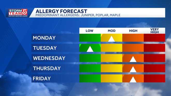 allergy forecast