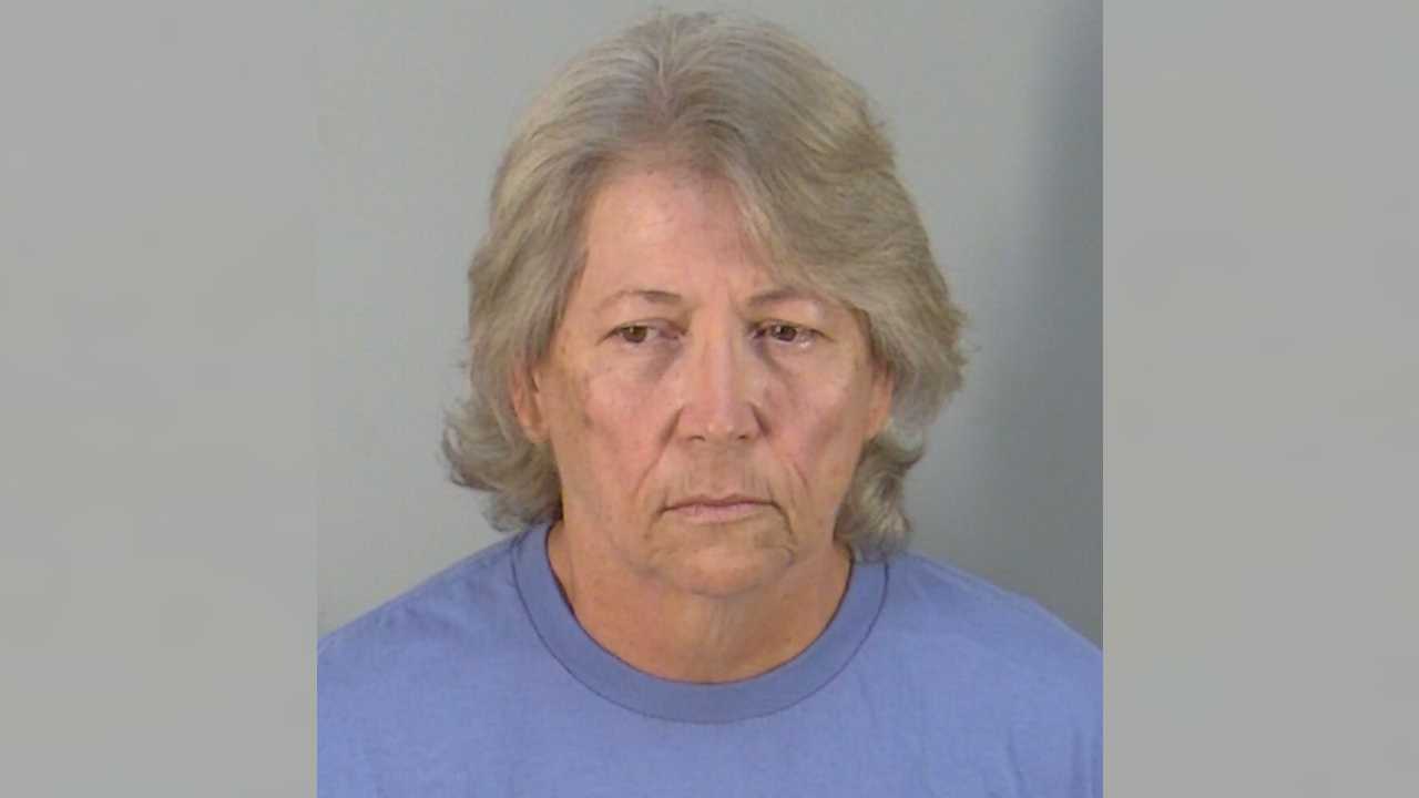 Woman accused of animal cruelty after 31 cows 'severely neglected' in Lake County, deputies say