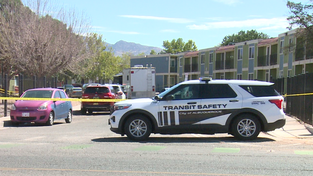 One man dead, one person detained after fatal stabbing