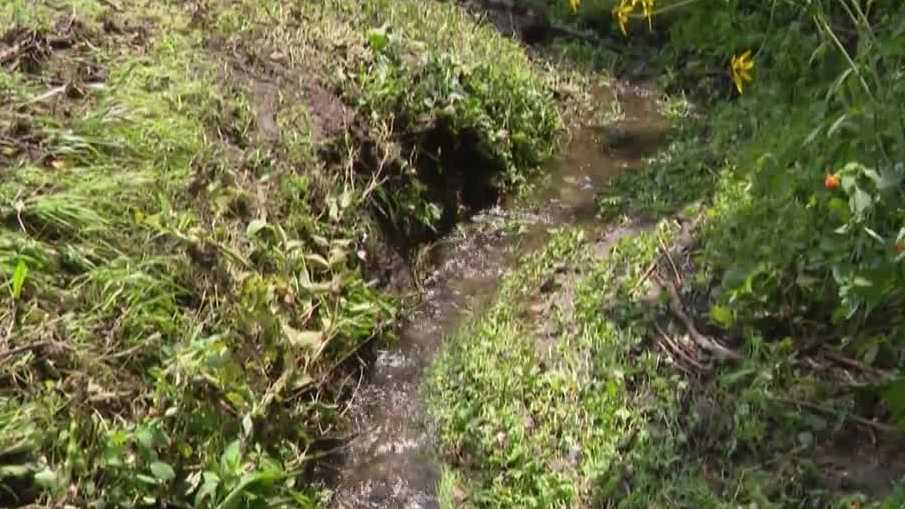 Canonsburg businesses urge action on clogged culvert after repeated flooding