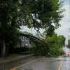 Ohio Gov. DeWine asks FEMA to conduct storm damage assessments across state