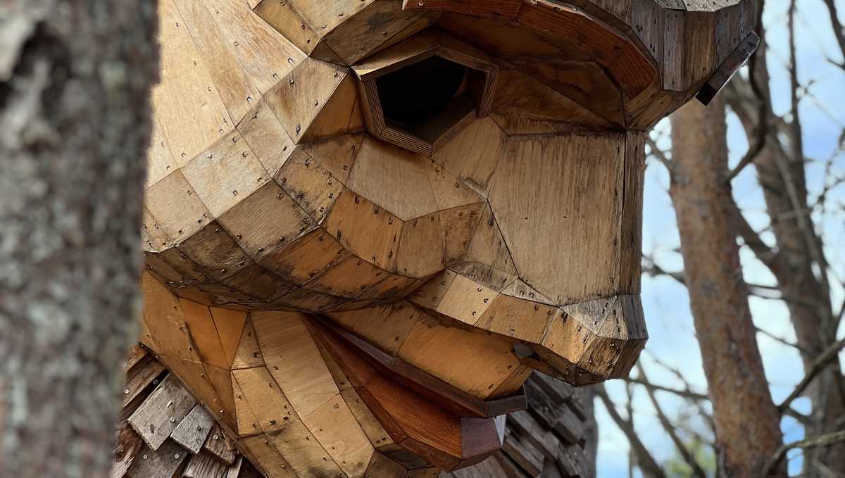 Final week to see Thomas Dambo's 