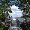 Parts of Cape Coral's Four Mile Cove Ecological Preserve to close on Monday