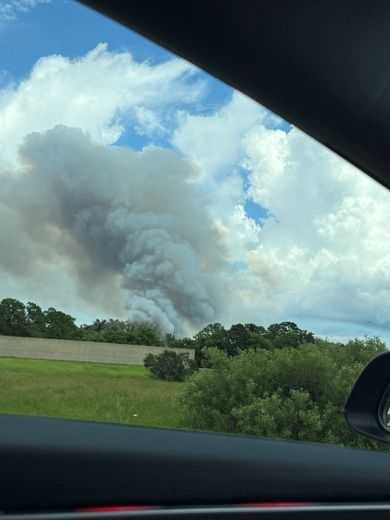 Florida Forest Service: Over 100-acre wildlife in Martin County contained
