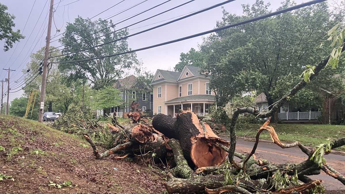 Severe Weather Brings Down Trees, Cause Power Outages in Sebastian and ...