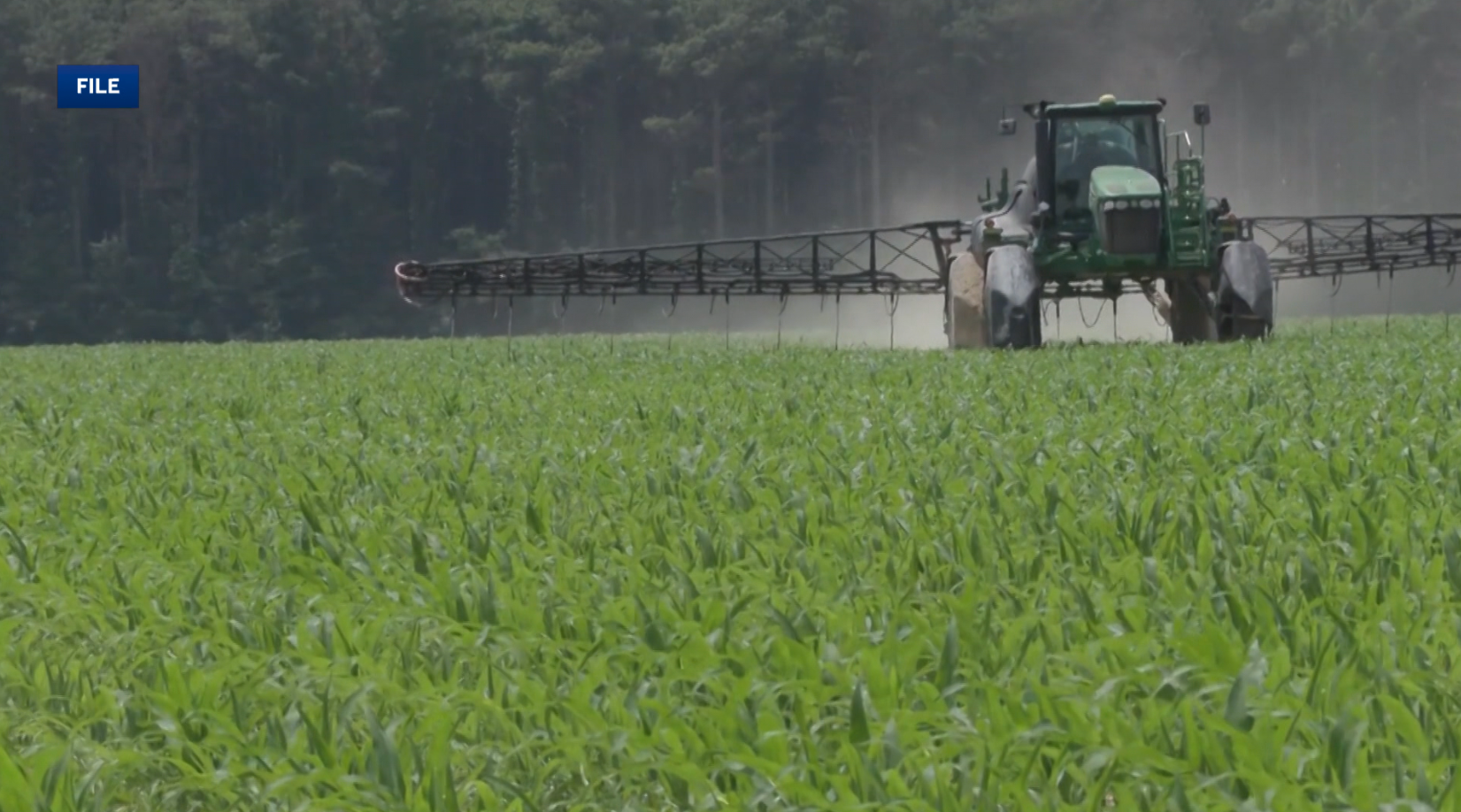 4029tv.com - Abner Sosa - Arkansas farmer reacts to Senate debate's focus on farming
