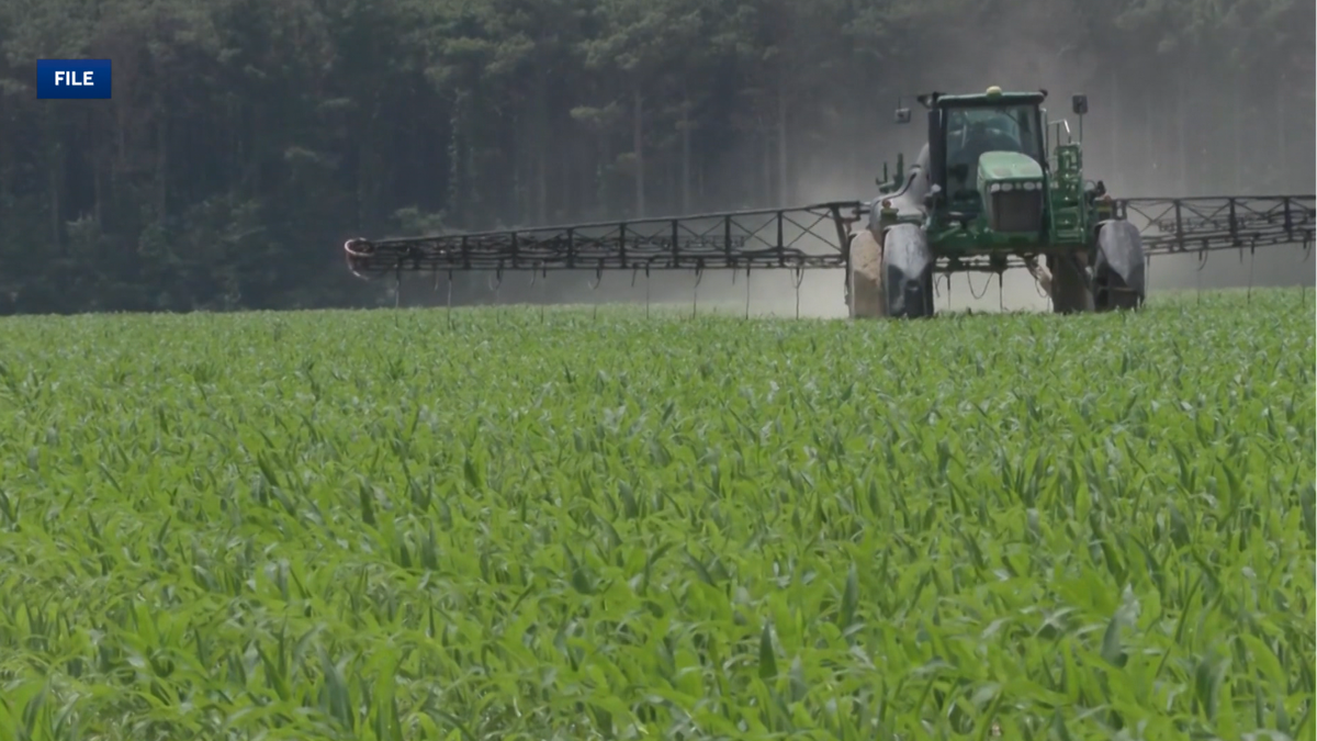 Arkansas farmer reacts to Senate debate's focus on farming - KHBS